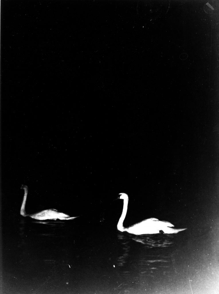 schwarz weiß Fotografie analog film expired Kontrast